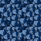 Memphis-Grizzlies.jpg