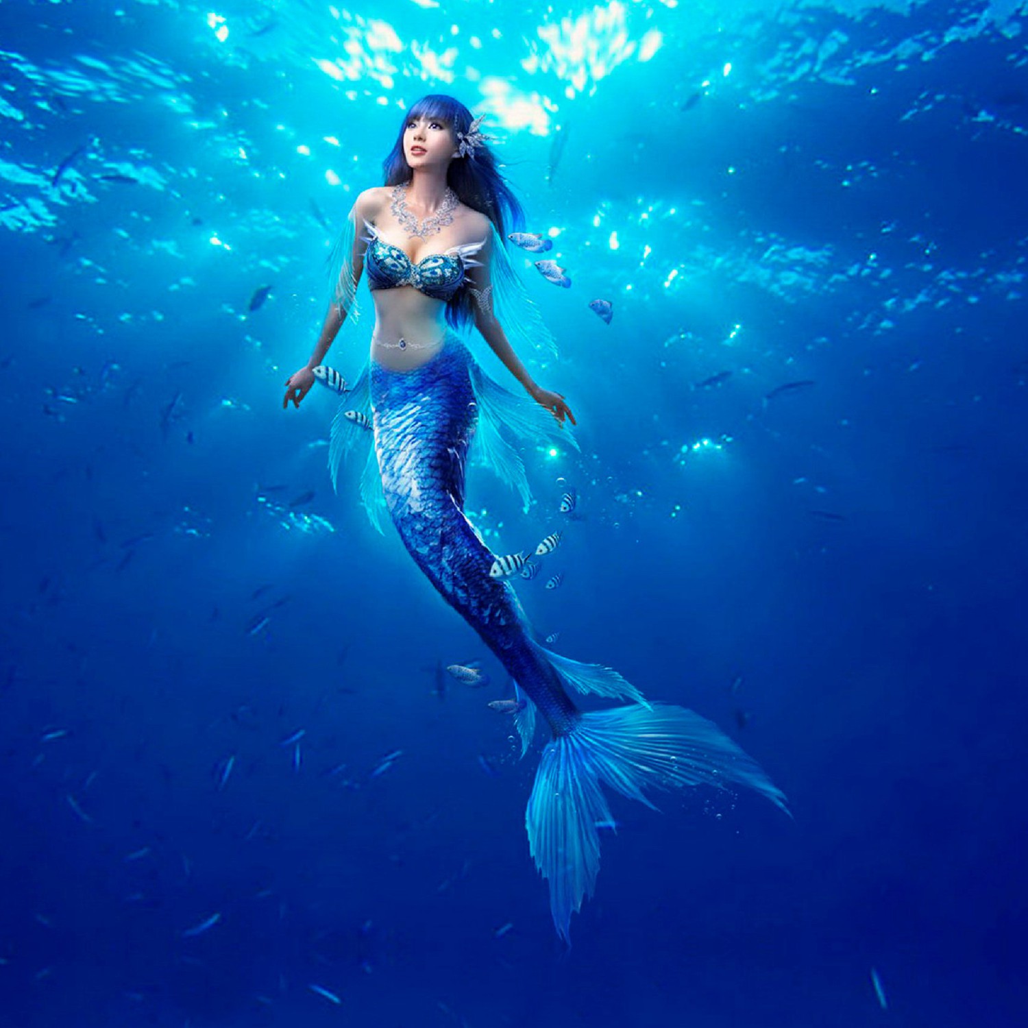 Mermaid 24