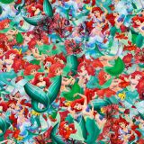 Mermaid-Ariel-23