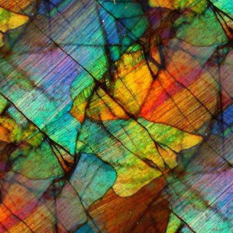 Meteorite 23