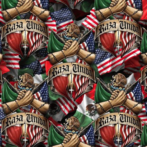Mexican American Raza Unida 24