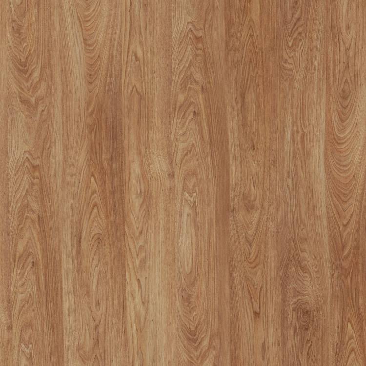 Mexican Walnut
