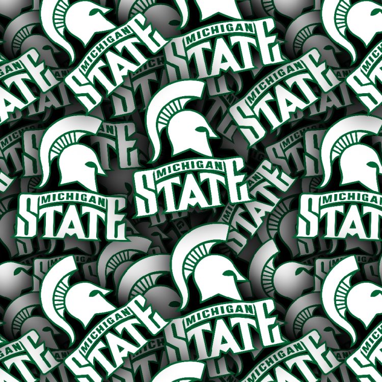 Michigan State University 23