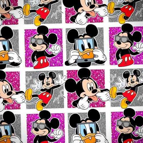 Mickey Panels