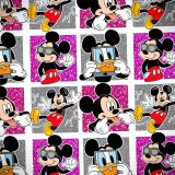 Mickey-Panels
