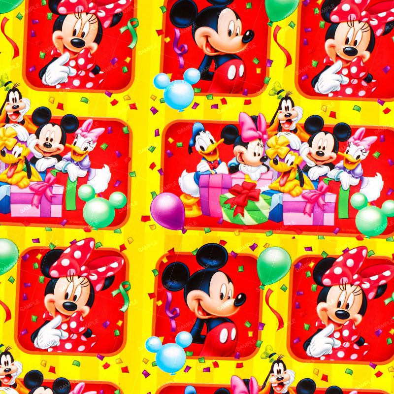 Mickey Party 22