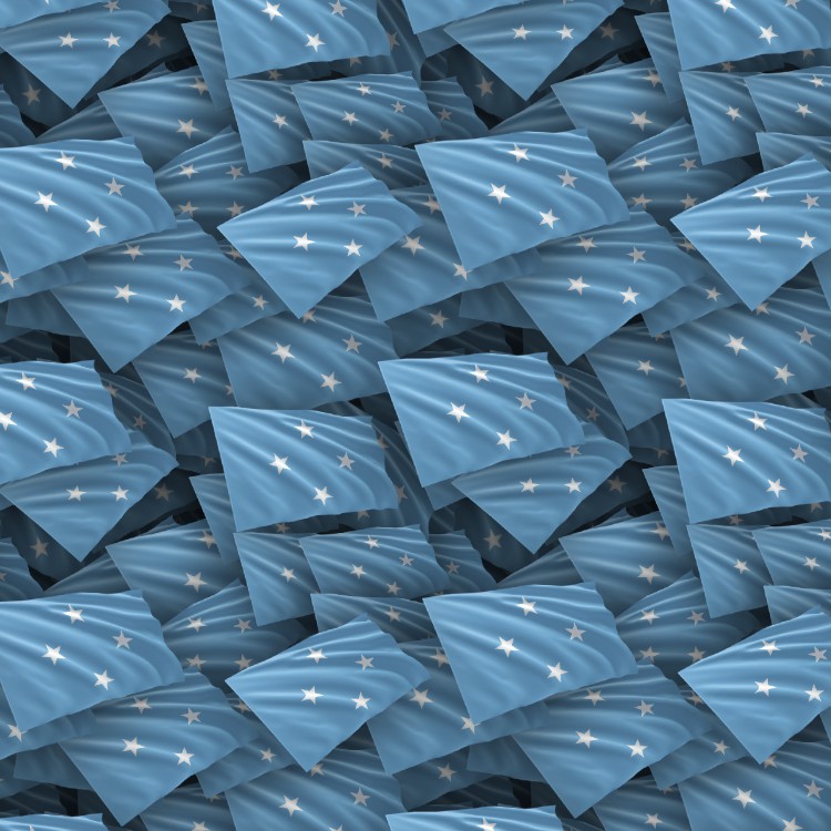 Micronesia Flag