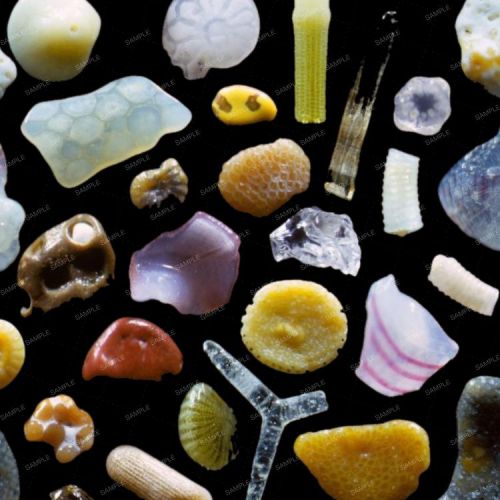 Microscopic Sand 23