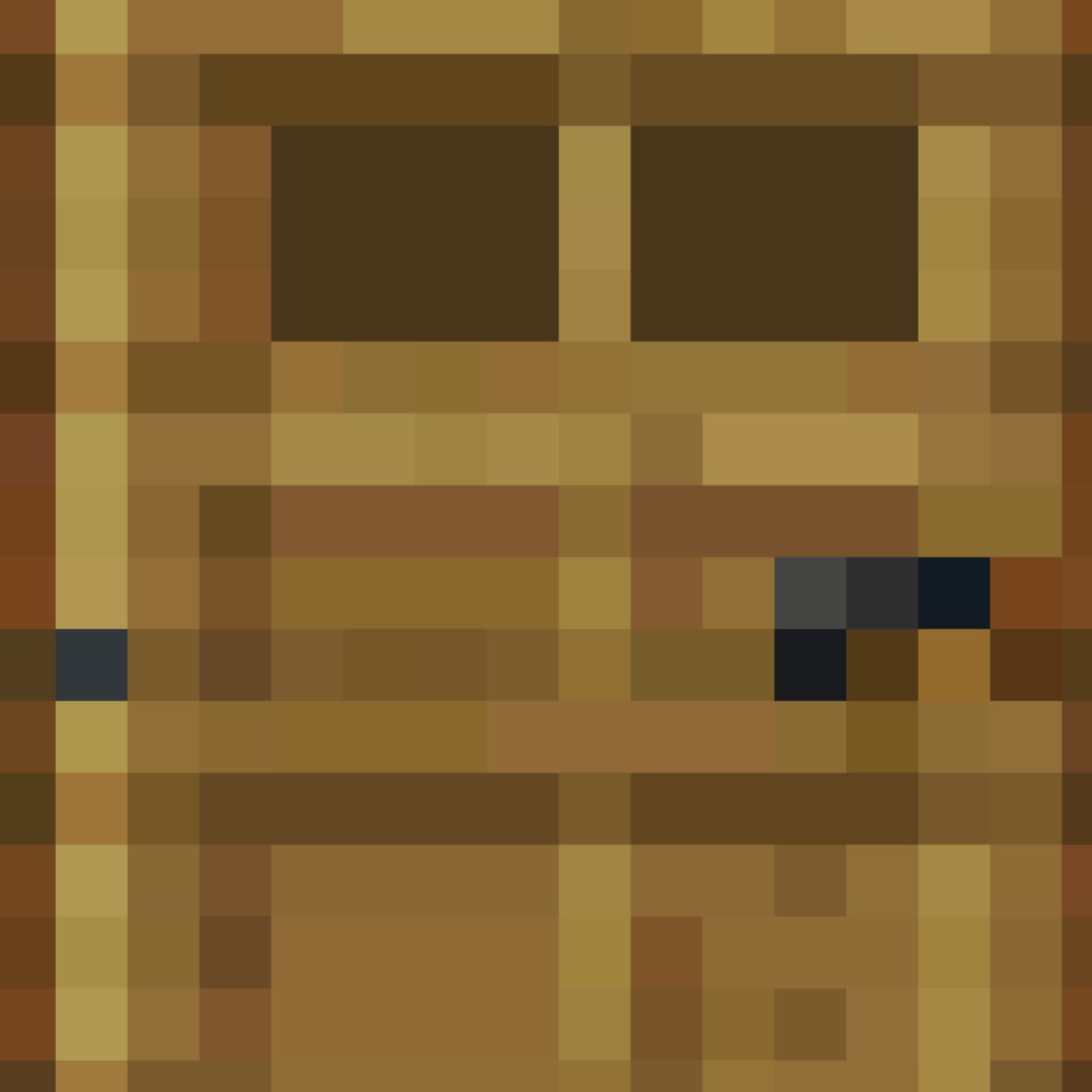 Minecraft Door