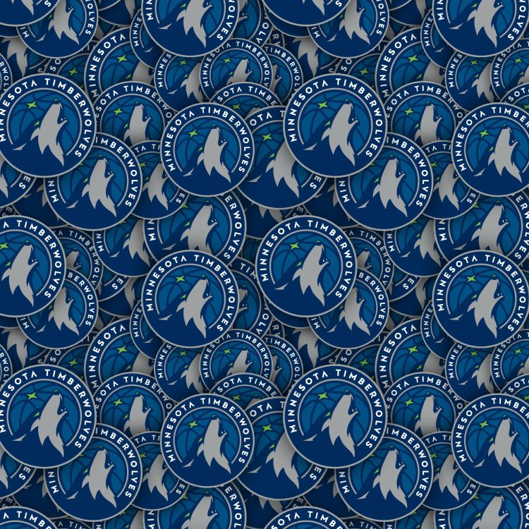 Minnesota Timberwolves 22