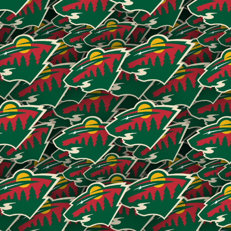 Minnesota Wild 22