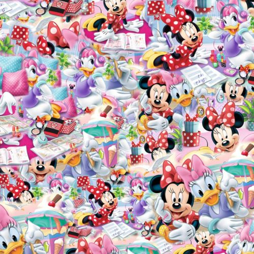 Minnie and Friends 22
