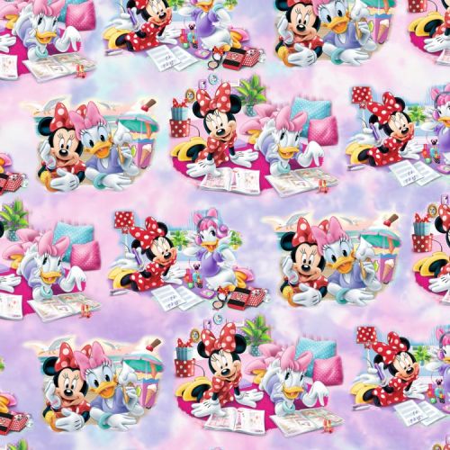 Minnie and Friends 24