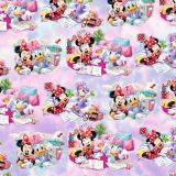 Minnie-and-Friends-24