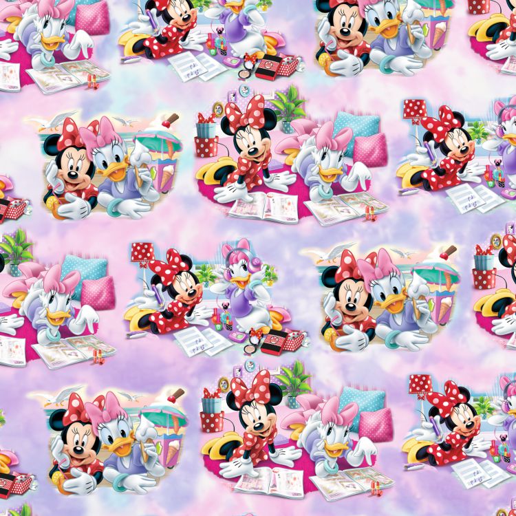 Minnie and Friends 24