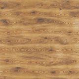 Mississippi-Loblolly-Pine