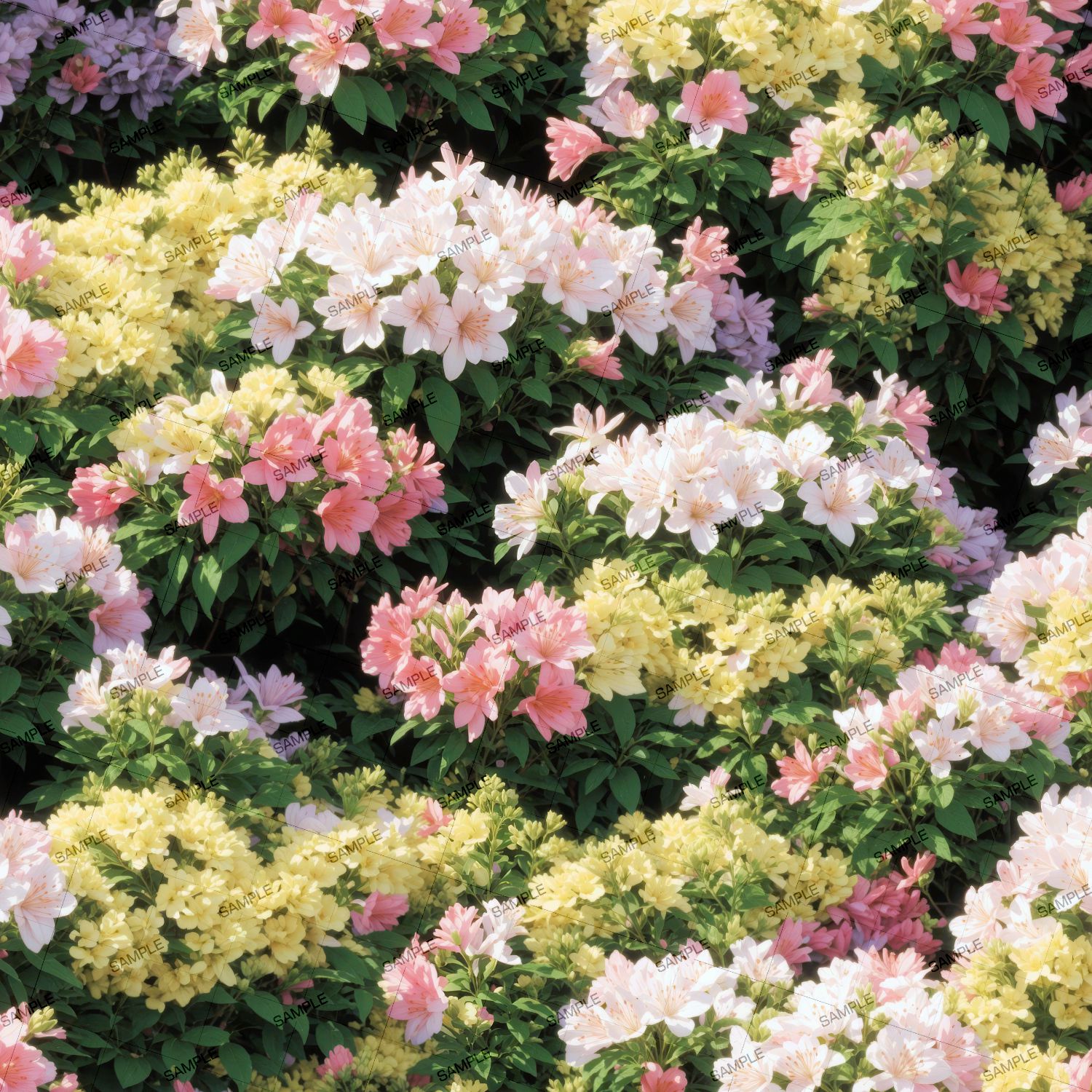 Mixed Azeleas