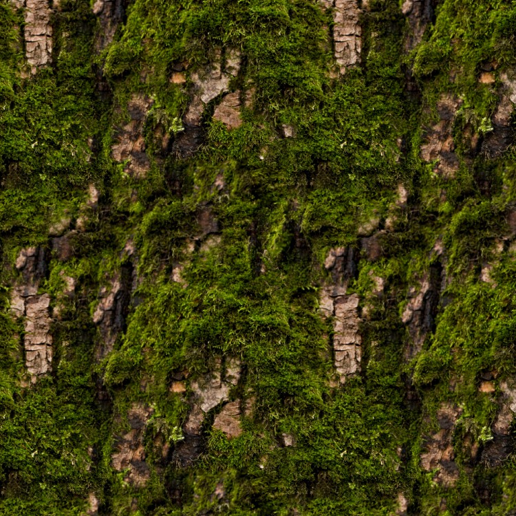 Mossy Bark 22