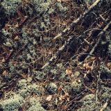 Mossy-Ground-Camo