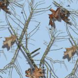 Mossy-Oak-Country-Roots-Sky