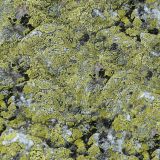 Mossy-Stone-Camo-23