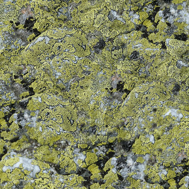 Mossy Stone Camouflage 23