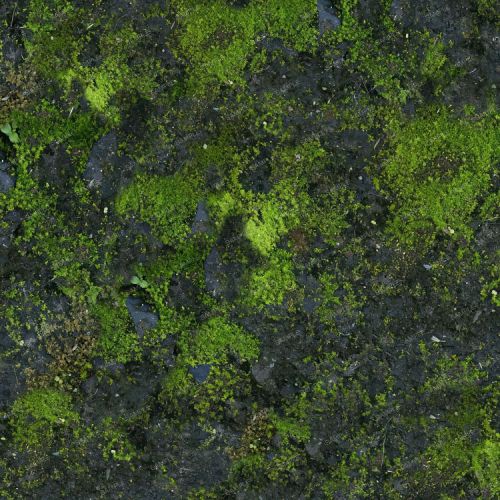 Mossy Stone Camouflage 25