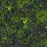 Mossy-Stone-Camo-25