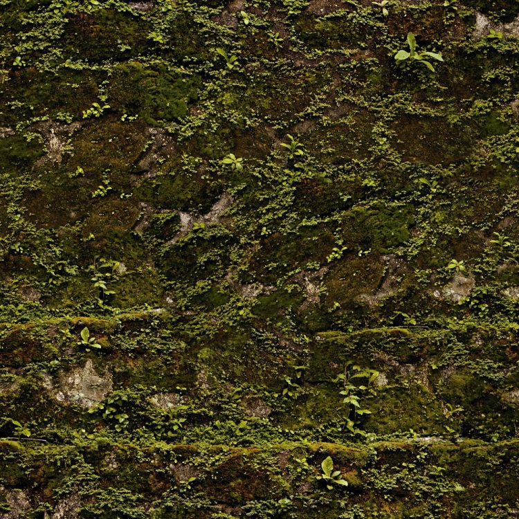 Mossy Stone Camouflage