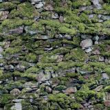 Mossy-Stone-Wall-22