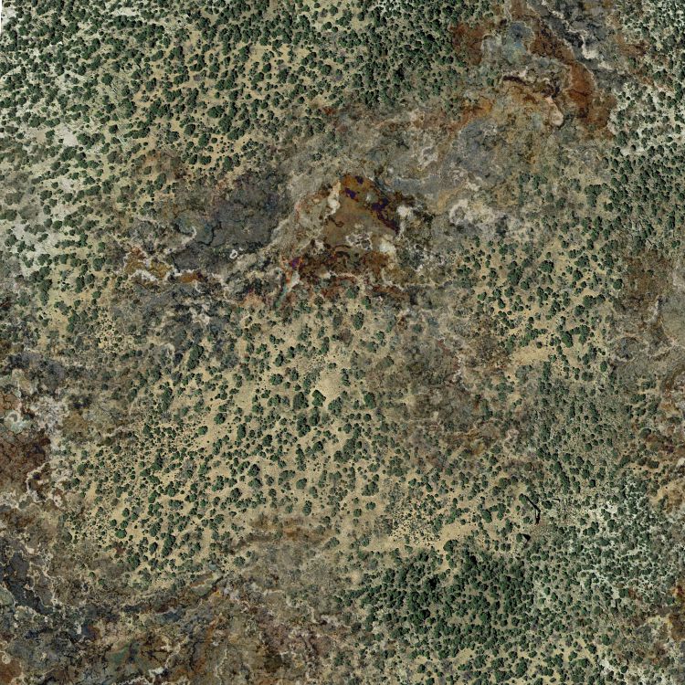 Mountain Brushland 23