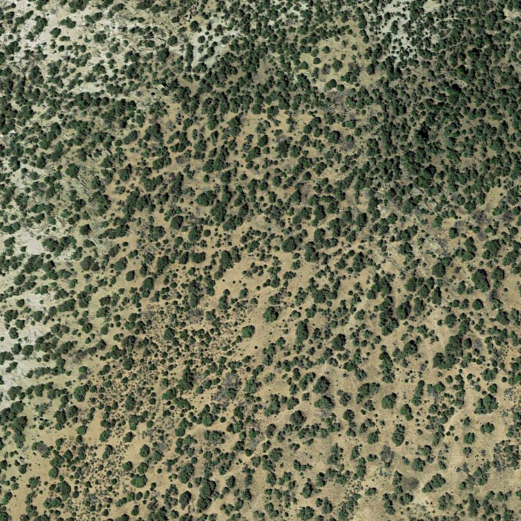 Mountain Brushland