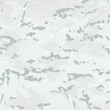 MultiCam-Snow