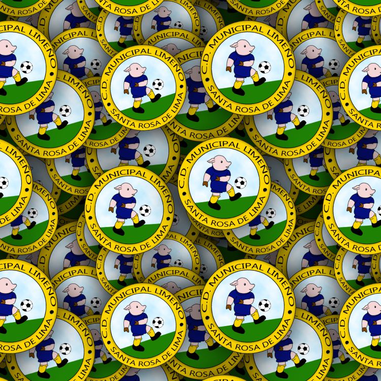 Municipal Limeno