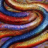 Mythical-Snakes-orf-Modor
