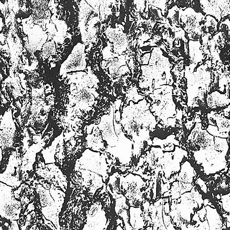 Natural Camouflage Snow