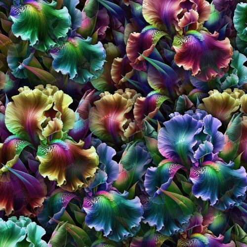 Neon Irises 43