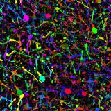 Neon-Paint-Splats-23