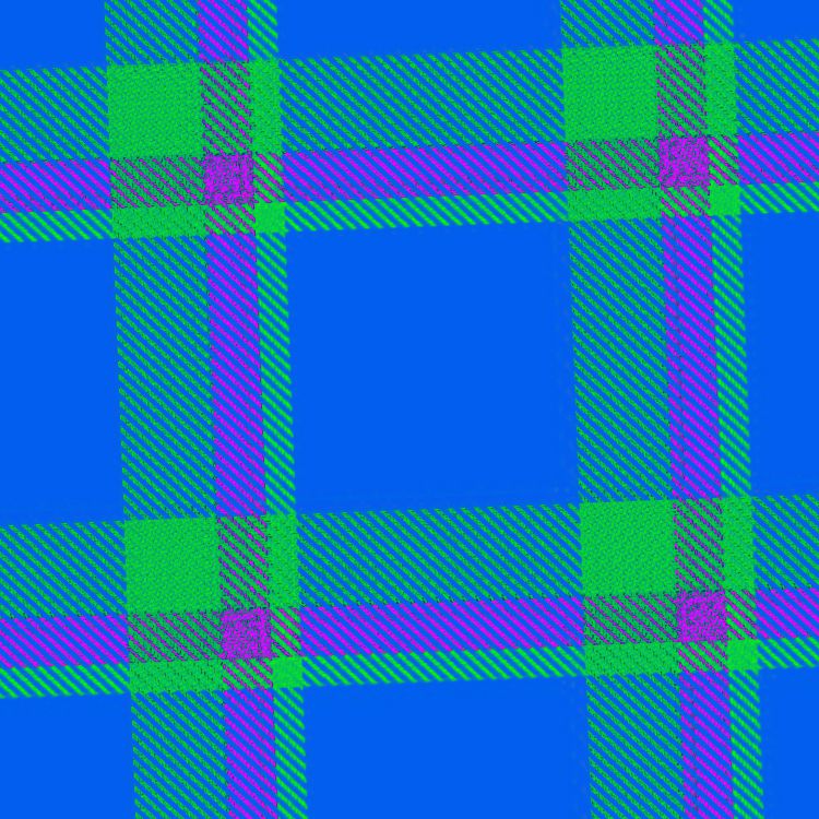Neon Tartan 27