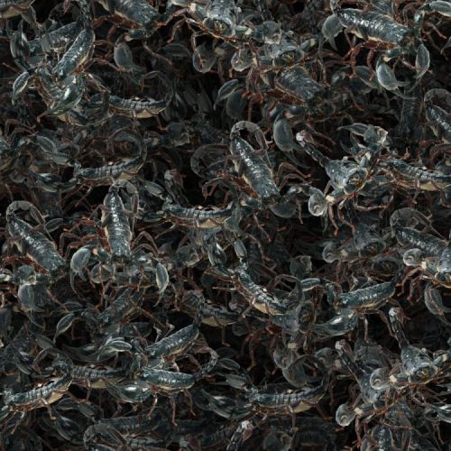 Nest of Scorpions 22