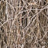 Nested-Camo-22-1