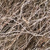 Nested-Camo-23