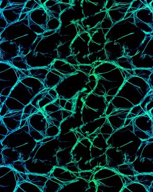 Neural Net Blue Green
