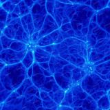 Neurons-Firing-42