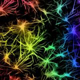 Neurons-Sparking-22
