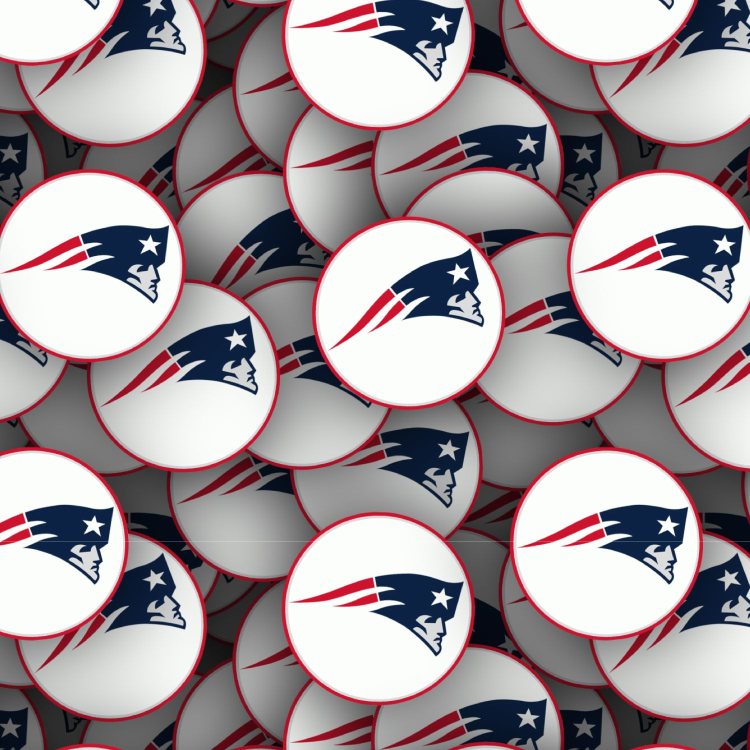 New England Patriots 23