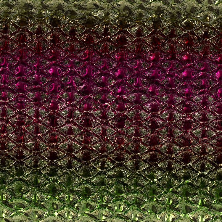 New Orleans Fish Scales