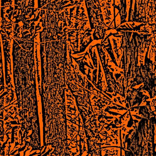 Blaze Camouflage