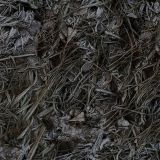 Night-Frost-Camo