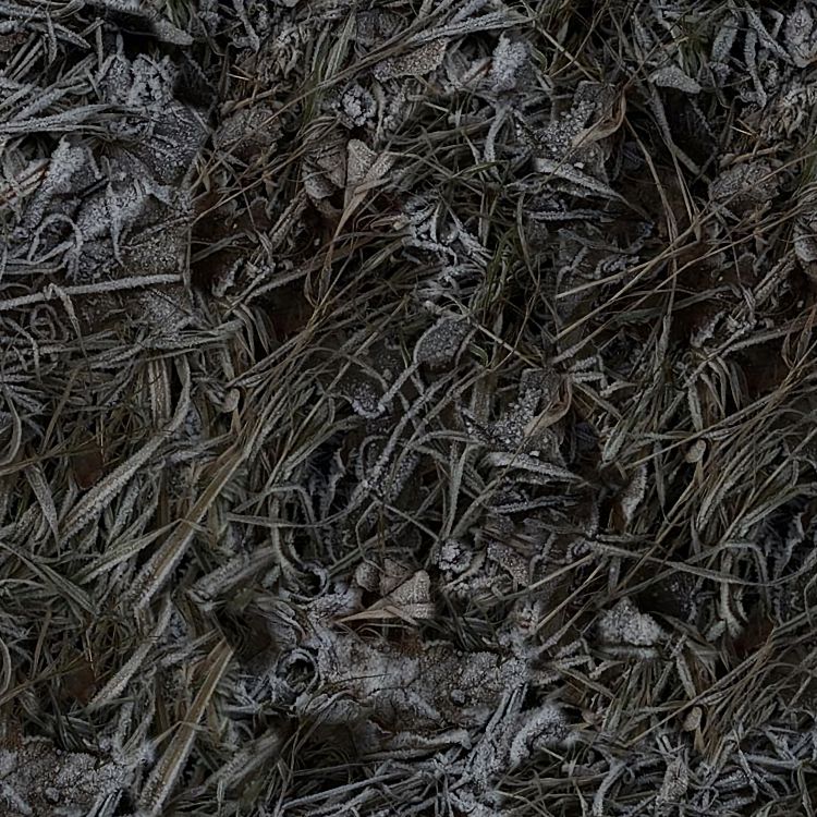 Night Frost Camouflage